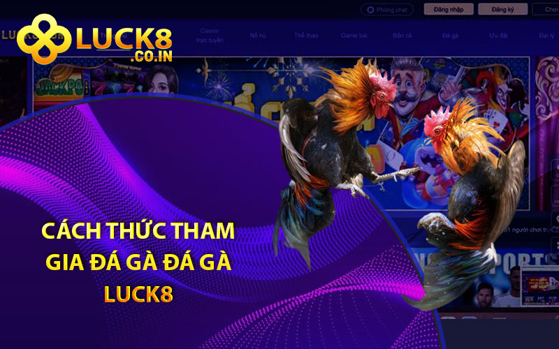 Cách thức tham gia đá gà đá gà Luck8


