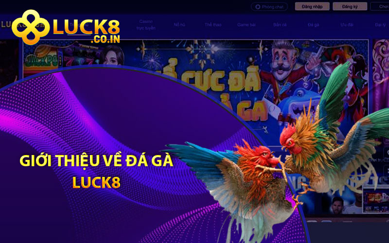 Giới thiệu về đá gà Luck8