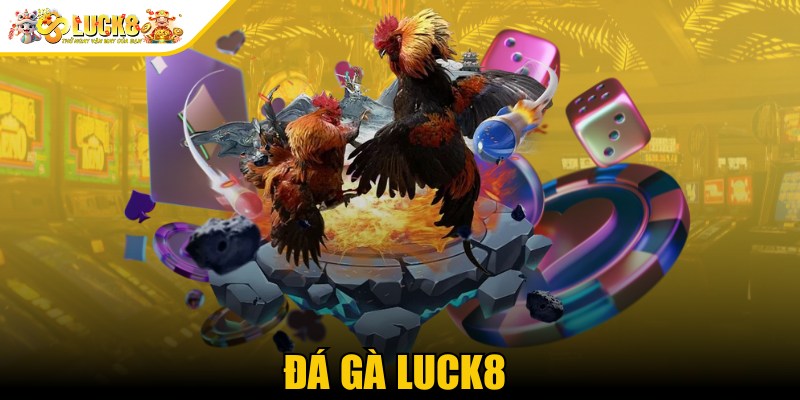 Đá gà Luck8 - Nơi thỏa mãn các đam mê cá cược 