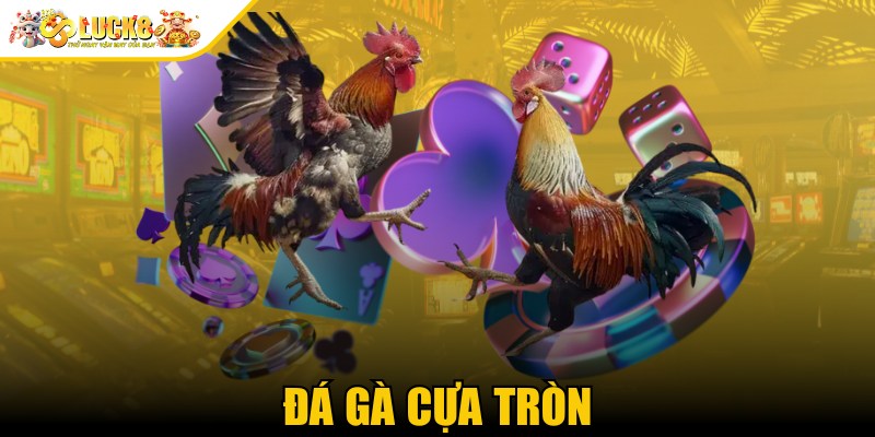 Đá Gà Cựa Tròn