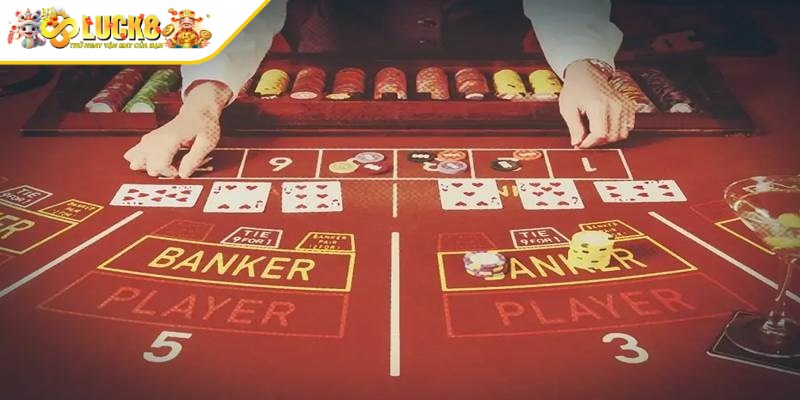 Thành viên khi chơi cược chọi gà nên biết điểm dừng đúng lúc