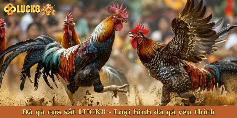da-ga-cua-sat-bia